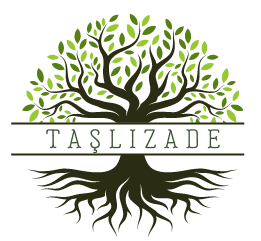 TASLIZADE-2